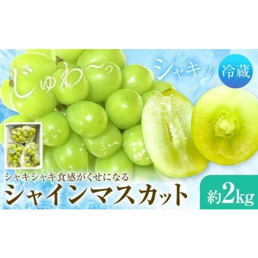 ふるさと納税 ぶどう マスカット 岡山県 浅口市 シャインマスカット 3-4房 2kg タンポポ農園[2026年9月上旬-10月下旬頃出荷]送料無料 岡山県 浅口市 フルー…