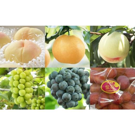 ふるさと納税 もも 岡山県 美咲町 6回定期便 岡山県産 フルーツ定期便コース (清水白桃 ・ 白桃 ・ ニューピオーネ ・ シャインマスカット 晴王 ・ 紫苑 ・ …