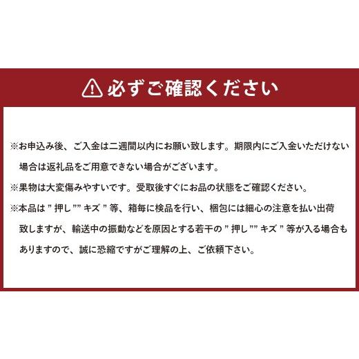 ふるさと納税 ぶどう 岡山県 美咲町  5回定期便 岡山県産 フルーツ定期便コース （マスカットオブアレキサンドリア ・ 白桃 ・ ニューピオーネ ・ シャインマ…_4