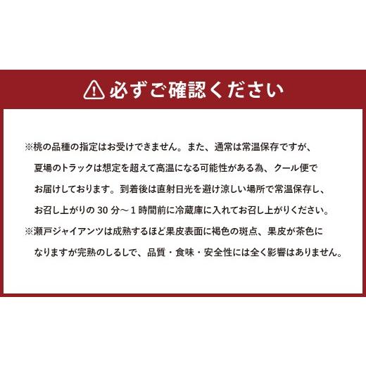ふるさと納税 ぶどう 岡山県 美咲町  5回定期便 岡山県産 フルーツ定期便コース （マスカットオブアレキサンドリア ・ 白桃 ・ ニューピオーネ ・ シャインマ…_5