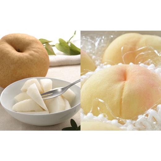 ふるさと納税 ぶどう 岡山県 美咲町  5回定期便 岡山県産 フルーツ定期便コース （マスカットオブアレキサンドリア ・ 白桃 ・ ニューピオーネ ・ シャインマ…_8