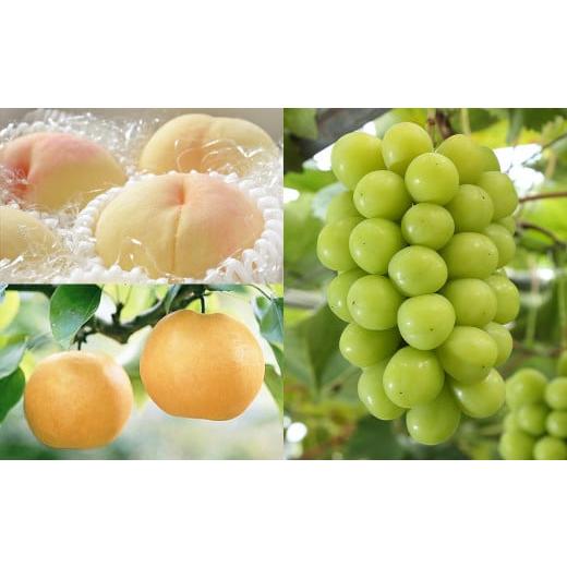 ふるさと納税 もも 岡山県 美咲町 3回定期便 岡山県産 フルーツ定期便コース (白桃 ・ シャインマスカット 晴王 ・ あたご梨) 2026年7月上旬発送開始 / 3…