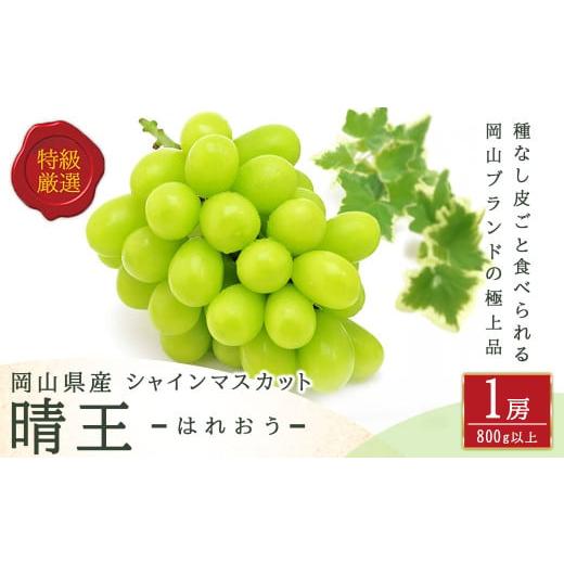 ふるさと納税 ぶどう マスカット 岡山県 美咲町 シャインマスカット 晴王 1房 (800g以上) 化粧箱入り 2026年8月下旬〜11月上旬迄発送予定 / マスカット 葡…