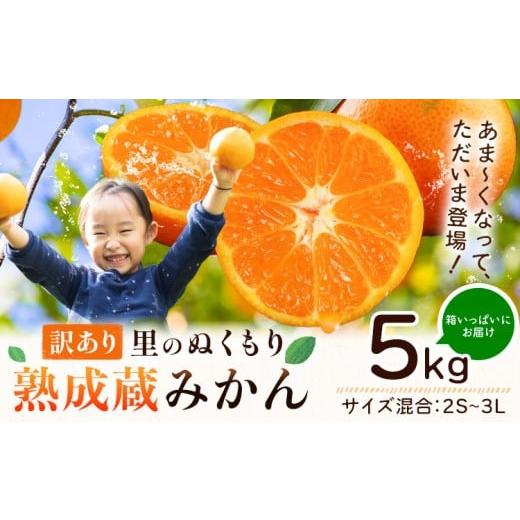 ふるさと納税 果物類 みかん 徳島県 佐那河内村 限定規格 2月発送指定便 訳あり 熟成みかん 5kg [2月上旬-2月中旬出荷]徳島 柑橘 ミカン 蜜柑 フルーツ 青…