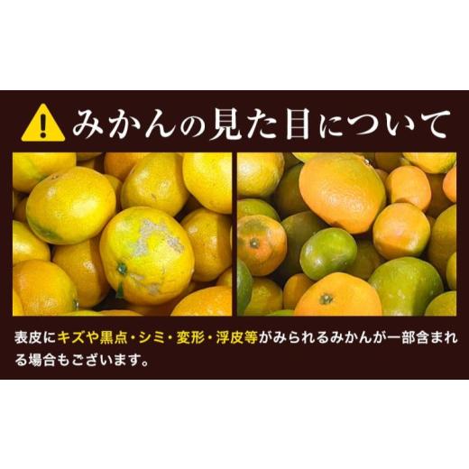 ふるさと納税 果物類 みかん 徳島県 佐那河内村  先行予約 清流と寒暖差が育む 熟成蔵みかん サイズ不選別 ご家庭用 訳あり 徳島みかん 約5kg 徳島県佐那河内… |  | 08