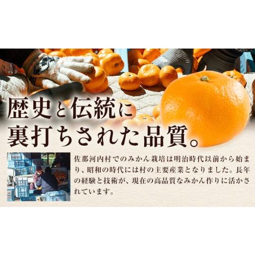 ふるさと納税 果物類 みかん 徳島県 佐那河内村  先行予約 清流と寒暖差が育む 熟成蔵みかん サイズ不選別 ご家庭用 訳あり 徳島みかん 約5kg 徳島県佐那河内… |  | 04