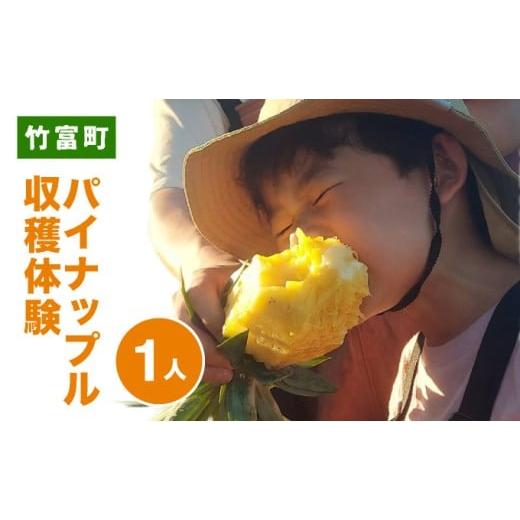 ふるさと納税 体験チケット 沖縄県 竹富町 パイナップル収穫体験 1名 爽やかな朝日を浴びた中での開催 (4月25日〜6月15日開催) 1名