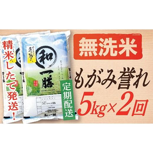 ふるさと納税 無洗米 山形県 最上町 定期便 無洗米 令和7年産 もがみ誉れ 5kg (5kg×1) 2回配送