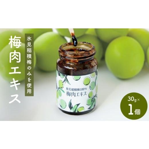 ふるさと納税 缶詰・瓶詰 富山県 氷見市 梅肉エキス 氷見稲積梅100% 1個 富山県 氷見市 国産 うめ 青梅 クエン酸