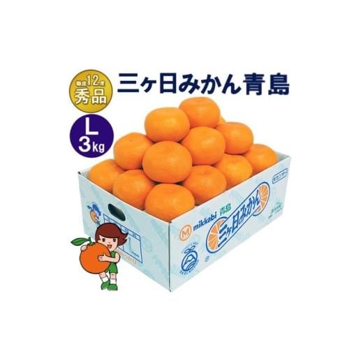 ふるさと納税 みかん・柑橘類 静岡県 浜松市 三ケ日みかん 青島 秀品 Lサイズ3kg(23個前後) ミカン 果物 くだもの フルーツ 甘い 静岡県 浜松市 果物類 柑橘類…