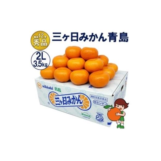 ふるさと納税 みかん・柑橘類 静岡県 浜松市 三ケ日みかん 青島 秀品 2Lサイズ3.5kg(20個前後) ミカン 果物 くだもの フルーツ 甘い 静岡県 浜松市 果物類 柑…
