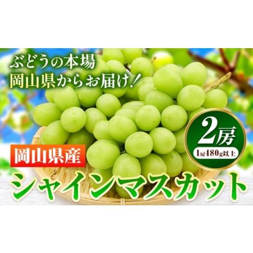 ふるさと納税 ぶどう マスカット 岡山県 笠岡市 先行予約 岡山県産 シャインマスカット 2房 (480g以上) 有限会社ホーティカルチャー神島[7月中旬-8月中旬頃…
