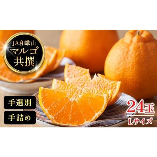 ふるさと納税 みかん・柑橘類 デコポン 和歌山県 有田川町 JA和歌山 マルゴ共撰 デコポン 24玉入り Lサイズ 5kg箱