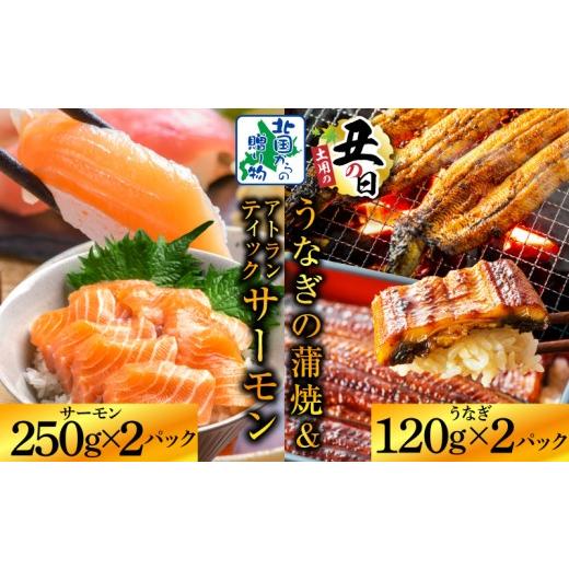 ふるさと納税 うなぎ 大阪府 泉佐野市 7/26土用の丑の日 五郎藤 国産 関西風 地焼き有頭旨鰻 120g×2尾&アトランティックサーモン 250g×2パック 食べ比べ