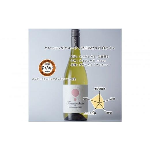 ふるさと納税 ワイン 白ワイン 富山県 南砺市 立野原ゲヴェルツトラミネール 2024 ワイナリー風景ポチ袋5枚セット付き