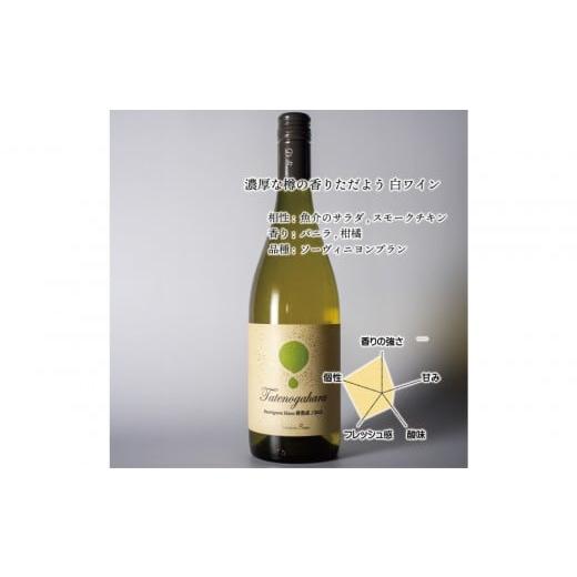 ふるさと納税 ワイン 白ワイン 富山県 南砺市 立野原 ソーヴィニヨンブラン 2023 ワイナリー風景ポチ袋5枚セット付き