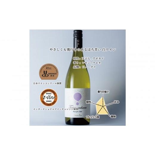 ふるさと納税 ワイン 白ワイン 富山県 南砺市 立野原ピノグリ 2024 ワイナリー風景ポチ袋5枚セット付き