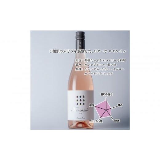 ふるさと納税 ワイン ロゼワイン 富山県 南砺市 立野原ナンサンブル 2024 ワイナリー風景ポチ袋5枚セット付き