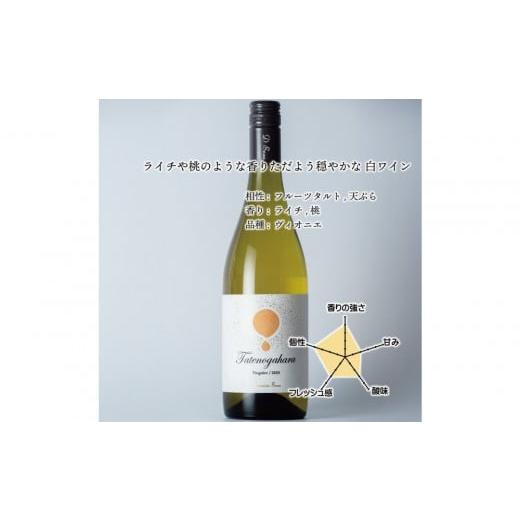ふるさと納税 ワイン 白ワイン 富山県 南砺市 立野原ヴィオニエ 2024 ワイナリー風景ポチ袋5枚セット付き