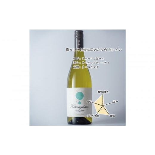 ふるさと納税 ワイン 白ワイン 富山県 南砺市 立野原 リースリング 2024 ワイナリー風景ポチ袋5枚セット付き