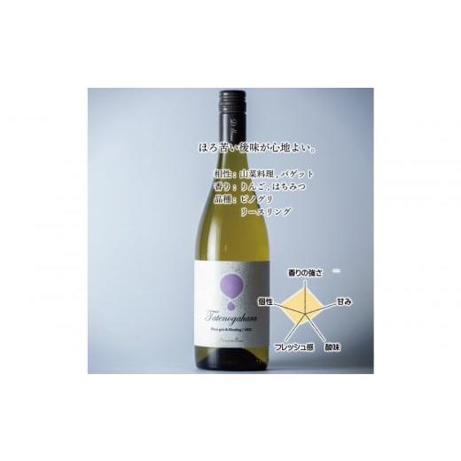 ふるさと納税 ワイン 白ワイン 富山県 南砺市 立野原 ピノグリ&amp;リースリング 2023 ワイナリー風景ポチ袋5枚セット付き