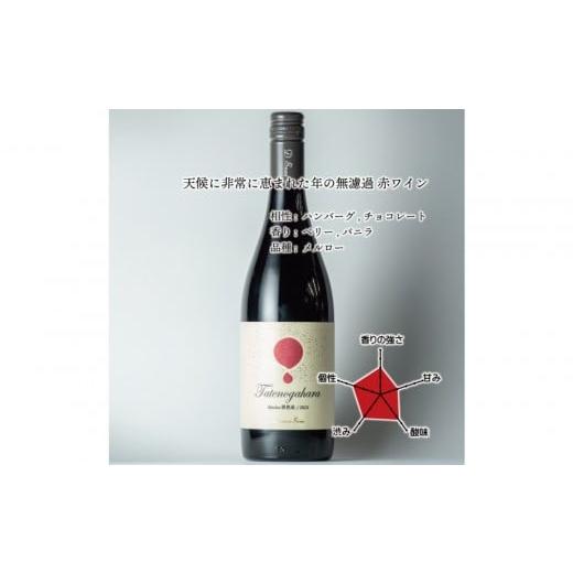 ふるさと納税 ワイン 赤ワイン 富山県 南砺市 立野原メルロー樽熟成 2023 ワイナリー風景ポチ袋5枚セット付き