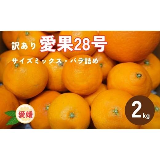 ふるさと納税 果物類 みかん 愛媛県 伊予市 訳あり 愛果28号 2kg サイズミックス 2026年12月以降発送 紅まどんなと同一品種 みかん 愛媛 数量限定 先行予約 柑…