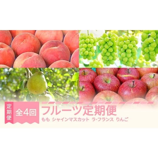 ふるさと納税 果物の詰合せ 山形県 村山市 先行予約 フルーツ定期便全4回 川中島 シャインマスカット ラ・フランス サンふじ 2026年産 山形県産 ja-ft4xx