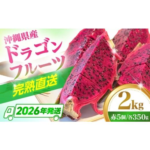 ふるさと納税 果物類 沖縄県 沖縄市 2026年発送 先行受付 完熟ドラゴンフルーツ 2kg (5玉) 果物 フルーツ スーパーフード 産地直送 無農薬 沖縄市 / タカエ…