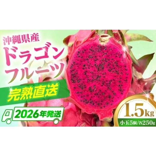 ふるさと納税 果物類 沖縄県 沖縄市 2026年発送 先行受付 小玉 完熟ドラゴンフルーツ 1.5kg (5玉) 果物 フルーツ スーパーフード 産地直送 無農薬 沖縄市 / …