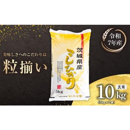 ふるさと納税 米 コシヒカリ 茨城県 下妻市 最短7日発送 玄米 コシヒカリ 10kg 茨城県下妻市産 お米 米 ご飯 こめ コシヒカリ 令和7年産 茨城県産 スピード発…