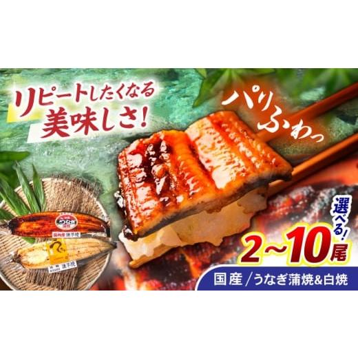 ふるさと納税 うなぎ 長崎県 諫早市 諫早淡水 うなぎ蒲焼1尾&amp;白焼き1尾セット / うなぎ ウナギ 鰻 蒲焼き 蒲焼 かばやき 白焼き 白焼 国産 冷凍 小分け …