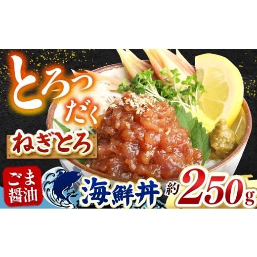 ふるさと納税 マグロ 熊本県 和水町 "とろだく" ごま醤油 海鮮丼 ねぎとろ 約 250g | 熊本県 和水町 くまもと なごみ 魚 海鮮 肥後 海鮮丼 スライス 冷…