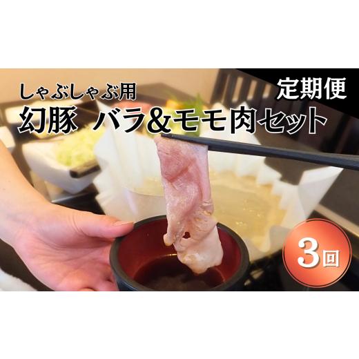 ふるさと納税 豚肉 しゃぶしゃぶ 長野県 飯田市 毎月定期便 信州 飯田 ブランド豚「幻豚」しゃぶしゃぶ 用 バラ &amp; モモ (合計1kg) セット 全3回 | 豚肉 …