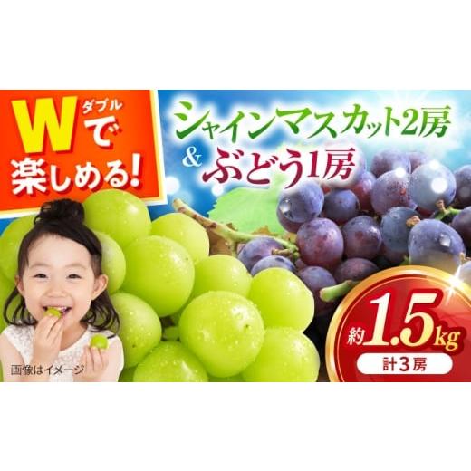 ふるさと納税 ぶどう マスカット 長崎県 大村市 2026年8月中旬より順次発送予定 シャインマスカット2房・ぶどう1房 約1.5kg /シャインマスカット しゃいんま…