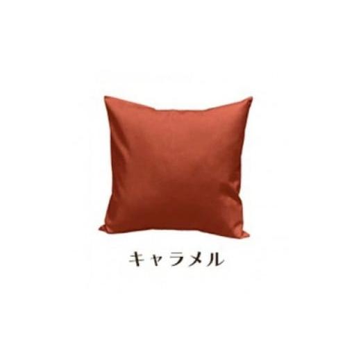 ふるさと納税 雑貨・日用品 インテリア 和歌山県 和歌山市 「染」2枚組クッションカバー 50×50cmタイプ キャメル 国産オックスフォード生地 無地 キャメル 2…の画像