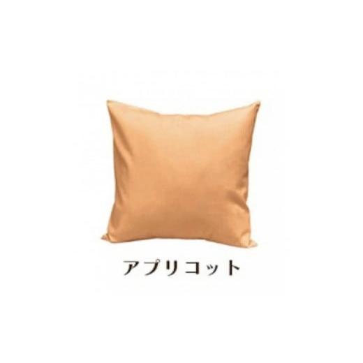 ふるさと納税 雑貨・日用品 インテリア 和歌山県 和歌山市 「染」2枚組クッションカバー 50×50cmタイプ アプリコット 国産オックスフォード生地 無地 アプリ…の画像