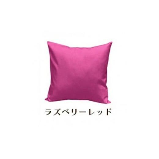 ふるさと納税 雑貨・日用品 インテリア 和歌山県 和歌山市 「染」2枚組クッションカバー 50×50cmタイプ ラズベリーレッド 国産オックスフォード生地 無地 ラ…の画像