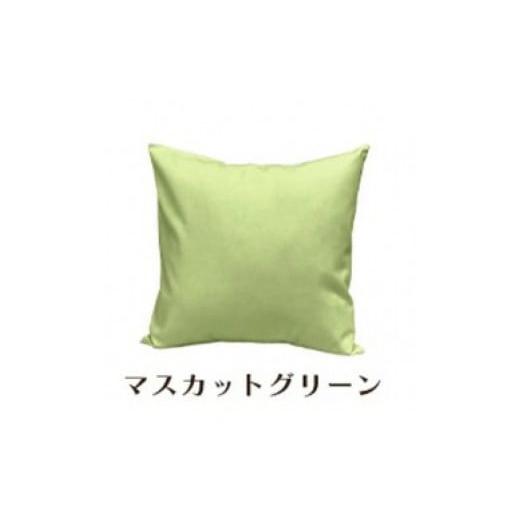 ふるさと納税 雑貨・日用品 インテリア 和歌山県 和歌山市 「染」2枚組クッションカバー 50×50cmタイプ マスカットグリーン 国産オックスフォード生地 無地 …の画像