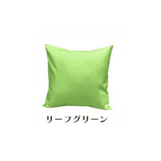 ふるさと納税 雑貨・日用品 インテリア 和歌山県 和歌山市 「染」2枚組クッションカバー 50×50cmタイプ リーフグリーン 国産オックスフォード生地 無地 リー…の画像