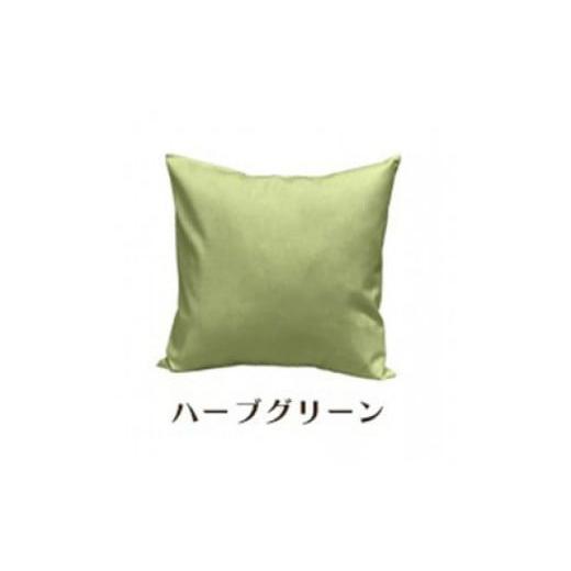ふるさと納税 雑貨・日用品 インテリア 和歌山県 和歌山市 「染」2枚組クッションカバー 50×50cmタイプ ハーブグリーン 国産オックスフォード生地 無地 ハー…の画像