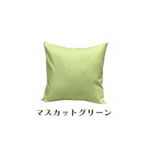 ふるさと納税 雑貨・日用品 インテリア 和歌山県 和歌山市 「染」2枚組クッションカバー 60×60cmタイプ マスカットグリーン 国産オックスフォード生地 無地 …