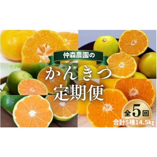 ふるさと納税 果物類 みかん 三重県 熊野市 全5回 仲森農園の柑橘定期便 合計5種 14.5kg 温室みかん・超極早生温州「みえ紀南一号」・極早生温州・由良早生・…