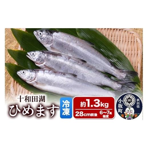 ふるさと納税 魚貝類 秋田県 小坂町 冷凍 十和田湖ひめます 約1.3kg(28cm前後 6〜7尾程度)魚 刺身 塩焼き