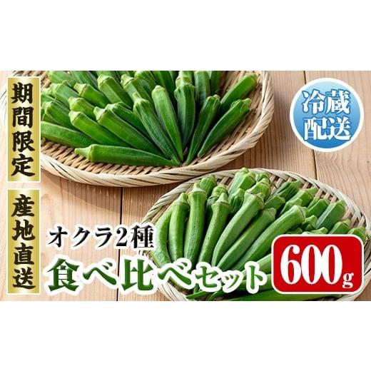 ふるさと納税 野菜類 鹿児島県 出水市 i1217-A 先行予約受付中 2026年7月下旬〜10月下旬の間に発送予定 いずみ産 丸オクラ・ジュピター食べ比べセット (600g) …