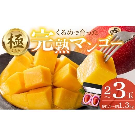 ふるさと納税 マンゴー 福岡県 久留米市 2026年6月以降お届け 極 完熟マンゴー(2〜3玉:約1.1〜1.3kg) _ 完熟マンゴー 2 〜 3玉 約1.1kg 1.3kg 平均糖度 1…