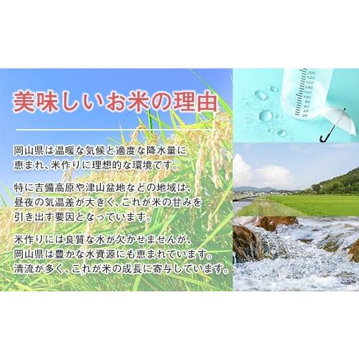 ふるさと納税 米 コシヒカリ 岡山県 早島町 令和7年産 岡山県産米「きぬむすめ」 10kg(5kg×2袋) 2回定期便 計20kg 2026年8月〜9月発送 SS-038-0708_2-16k 定…