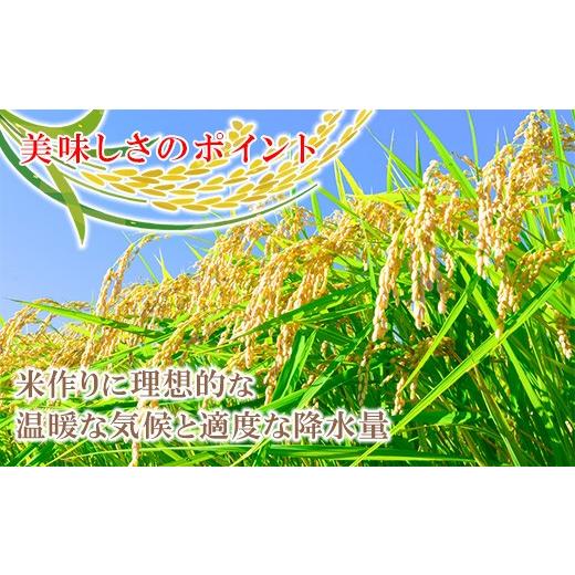 ふるさと納税 米 コシヒカリ 岡山県 早島町 令和7年産 岡山県産米「きぬむすめ」 10kg(5kg×2袋) 2回定期便 計20kg 2026年8月〜9月発送 SS-038-0708_2-16k 定…