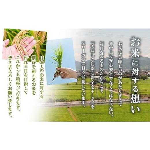 ふるさと納税 米 コシヒカリ 岡山県 早島町 令和7年産 岡山県産米「きぬむすめ」 10kg(5kg×2袋) 2回定期便 計20kg 2026年8月〜9月発送 SS-038-0708_2-16k 定…