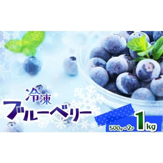 ふるさと納税 果物類 栃木県 那珂川町 完熟 冷凍ブルーベリー 約 1kg | 完熟 冷凍 Blueberry ブルーベリー ベリー 不揃い 果物 くだもの 健康意識 美意識 ヨー…